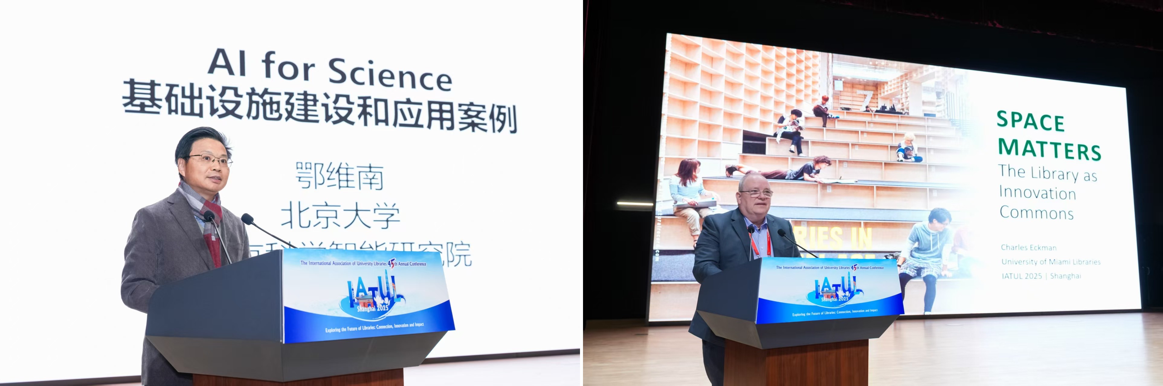 1762495686726077972.jpg 1762495686726077972.jpg